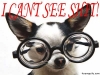 CantSee-Dog_with_glasses.jpg