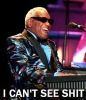 CantSee-RayCharles.jpg