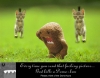 Cliche-Domokun_Die.jpg