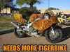 Needs-More-Tigerbike.jpg