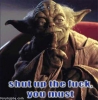 STFU-Yoda-2.jpg