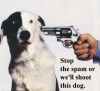 Stop-Shoot_the_Dog.jpg