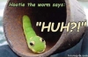Understand-Huh-Worm.jpg
