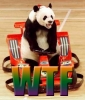 WTF-Panda_car.jpg