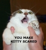 Why-Kittie_Scared.jpg