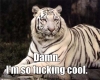 You-Are-Cool.jpg