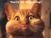 You-Are-Disgusting.jpg
