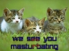 You-Are-Masturbating-Kittens.jpg