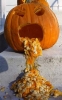 15577pumpkin.jpg
