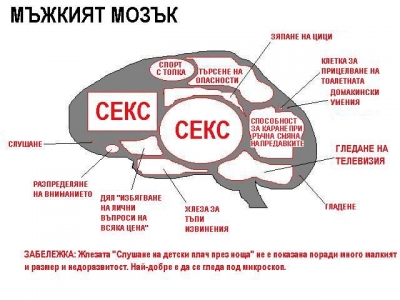 Натиснете за да видите снимката уголемена