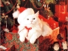 Christmas-Cat_Wallpaper.jpg