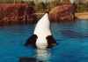 anim_0008.jpg
