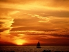 Venice_Beach,_California.jpg