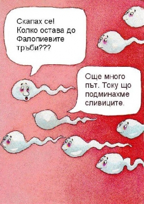 Натиснете за да видите снимката уголемена